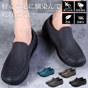 CV[Y Y h Jp ɂ Ȃ Xj[J[  h C ʋ y [Jbg oR Lv JC JWA