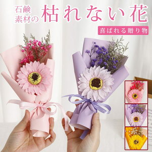 \[vt[ ԑ ̓ ~j Ђ܂ u[P \[vt[ ͂Ȃ   Ό v[g Mtg a 蕨 LO ސEj ʉ j Əj wj 