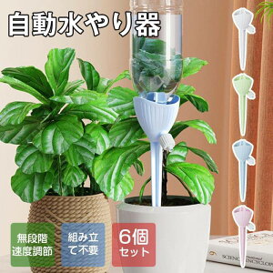  @ 6Zbg  Lbv ƒp ybg{g       K[fjO Lbv A  A |pi 傤 1 