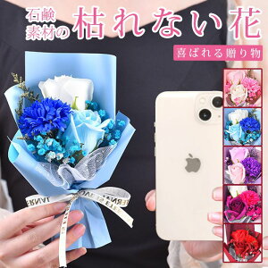 \[vt[ ~ju[P ̓v[g o ~jԑ \[vt[ ͂Ȃ   Ό v[g Mtg a 蕨 LO ސEj ʉ j Əj 