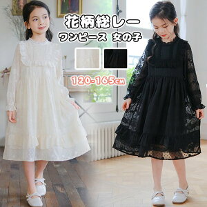 qhX s[X ̎q H t  ts[X 킢 s AC [X LbYs[X t ԕ[ tH[}  \   w q 120