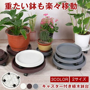 t[X^h u u rgC Aؔ LX^[ ϗtA u ړ Aؔ 󂯎M  ԑ v^[X^h  A LX^[t ԑ  O 