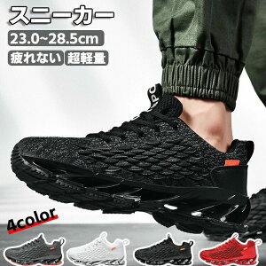 Xj[J[ fB[X Y jp ʋC y ~ d X|[cV[Y WMO V[Y ^C L JWA  W AEghA  ꂢ s ʊw 