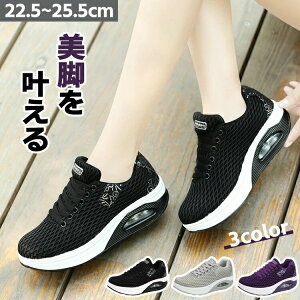 Xj[J[ fB[X jp ʋC X|[cV[Y WMO _CGbg y ~ d ^C L JWA  W g[jOV[Y EH[LOV[Y