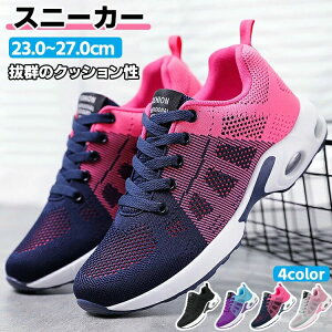 Xj[J[ fB[X Y jp ʋC y ~ X|[cV[Y WMO V[Y ^C L JWA  W d AEghA  ꂢ s ʊw ʋ 