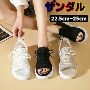 T_ fB[X ̎q CX^ ʋ JWA w ɂ AEghA 傫TCY   ₷ Ȃ NbV y ₷ ~  R