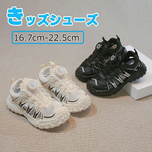 y_CzLbY T_ ₷ ʊw w Z K[Y ig p r[`T_ X|[c ̎q j̎q WjA  NbV Ȃ IV  