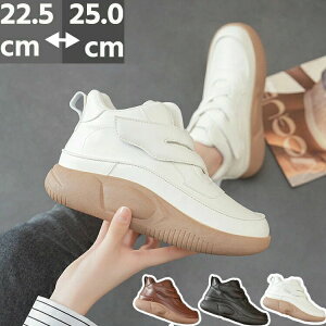 Xj[J[ fB[X Y ʋC y ~ X|[cV[Y WMO V[Y ^C L JWA  W d AEghA jp  ꂢ s ʊw ʋ 