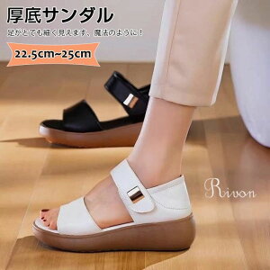  T_ fB[X O ₷  3cm ItBXT_ Ȃ T_ fB[X ʋC vbgtH[T_ EH[LO  [}T_ IV