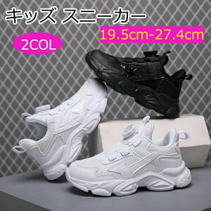 y_Cz LbY C Xj[J[ j̎q WjA V[Y qC X|[c V[Y AEghA jO ^C {[CY y EH[LOV[Y t  H ʋC h ʉ ʊw