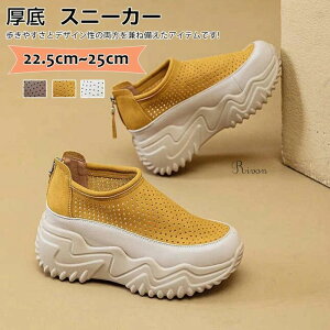 Xj[J[ fB[X ʋC 5cm  ɂCq[Xj[J[ EH[LOV[Y hXj[J[ r V[NbgV[Y y V[Y  V[Y C  