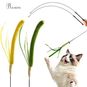 _2^L炵 lC L  2_Zbg L炵 ˂ XXL  ˂炵 t 2{ފƕt lV LXgXy ^s ybgpi Lpi m