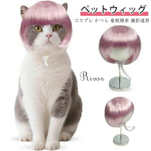 ybgEBbO  L ybgp Xq 蕨   L nEB Jc p[} At ObY ϑ ϐg Be o| U EȒP ʔ ڂɗ ΂  R