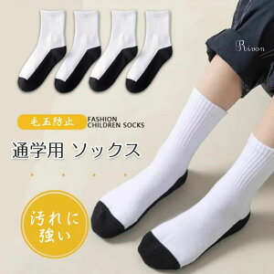 _4Zbg^ʊwp C qp \bNX ʋC  C _炩  R C Ԃ 킢 C  ~ ʋC ǂp C \bNX qp ʉʊw wẐ 