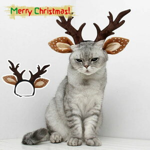  L ybgp J`[V giJC NX}X 蕨  L giJCɕϐg Xq Ԃ  LpANZT[ NX}X ̎ wAoh pRX`[ J`[V 