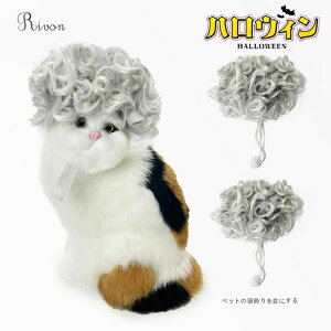 ybgEBbO  L  EȒP nEB RXv ʔybg RXv  ybg Jc ϑObY ybg RXv   a p[eB[ ObY 킢 cosp