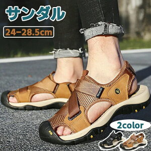 X|[cT_ Y j̎q {v U[  h ₷ NbV y ₷ ~  ʋ JWA 傫TCY  w ɂ Ȃ C 