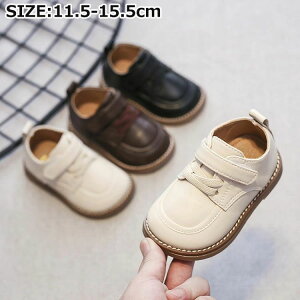 tH[}C xr[ xr[C ̎q j̎q qC tH[}V[Y LbYC ǂ V[Y hXV[Y Zj[V[Y EGfBO t ₷ ʊwC  