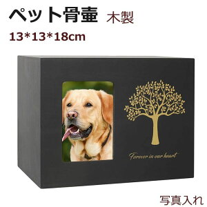 ybg ybgp  d  ybg D   ⍜ ؐ 茳{ F e i [ tHgt[t ybg  L ETM nX^[  D ybgdp [