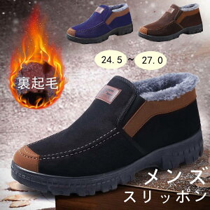 Xj[J[ {A g hV[Y Y {AV[Y Xb| V[Y EH[LOV[Y g[jOV[Y C ɂ  y