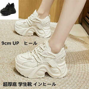 ���� �X�j�[�J�[ 9cm �A�b�v �C���q�[�� ���f�B�[�X �V�[�N���b�g�V���[�Y �҂ݏグ ���r ���[�J�b�g ����C �_�b�h�X�j�[�J�[ ���n �X�|�[�c �J�W���A�� ������ �w���C �X�|�[�c �A�E�g�h�A 