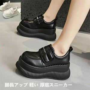 V[Y fB[X C  wC X|[c AEghA Cq[ rAbv y Xj[J[ fB[X Cq[Xj[J[ [XAbv Vv r _bhXj[J