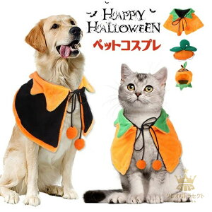 nEB  ybgp RX`[ }g Xq 2_Zbg    L ybg ϐgObY RXv ʔ ybg RXv ^L q  