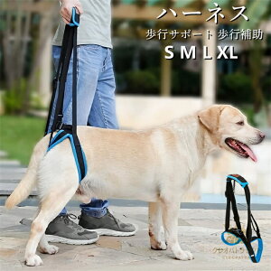 pn[lX 㑫p s⏕ p hbO ybgpi xg nr T|[g V VjA   Q bV ߉\ ^b`obN EȒP ʋC 􂦂 