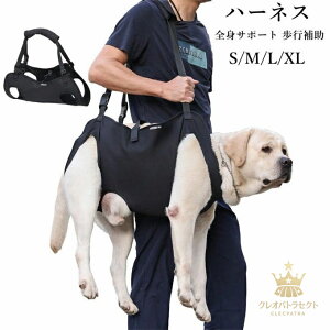 p n[lX xXgn[lX hCuxXgn[lX ybgp pi  ybgp V ` p gC̕⏕ nr Q T|[g [h U pp oR s