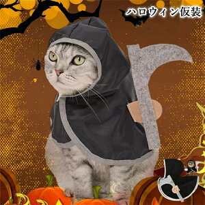 nEB ybgp }g RXv L ߑ RXvObY ϐg NX}X a nEB ʐ^ lC LOBe