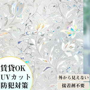 tB \邾 XehOX UCN 3Dp tB  ߂V[g  3dF g XehOXV[g XehOXV[ ډB Ռ 悯 C  