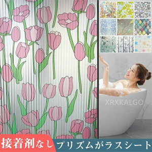 tB \邾 XehOX UCN 3Dp tB  ߂V[g  3dF g XehOXV[g ډB Ռ 悯 C  ɓ\J[e O