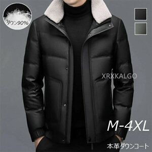 U[ _ER[g Y {v V[gR[g Y_ER[g U[R[g ܂ Y U[_EWPbg U[R[g _E90% YAE^[ 傫TCY _EW