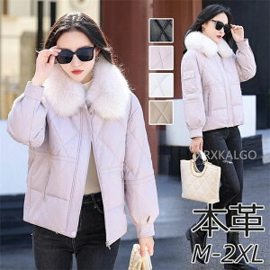 U[WPbg _EWPbg _E90 fB[X V[g tHbNX t@[ є h h y g 傫TCY ꂢ _ER[g rv U[ AE^[ 20