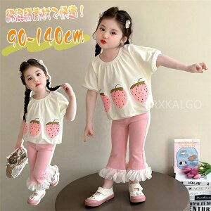 ZbgAbv ̎q q   ㉺Zbg ȍa gbv+pc 2_Zbg TVc LbY o Chpc sN  O [XtE ؍  ۈ牀 ct