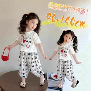 ZbgAbv ̎q q   ㉺Zbg ȍa  gbv+pc 2_Zbg TVc LbY o Chpc ubN zCg  Opc ؍  ۈ牀 ct 