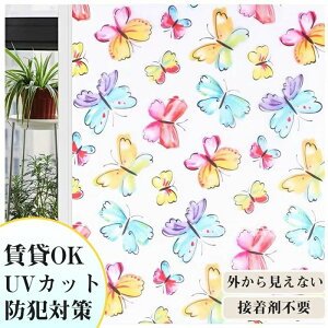 tB \邾 XehOX UCN 3Dp tB  ߂V[g   3dF g XehOXV[g XehOXV[ ډB Ռ 悯 C 