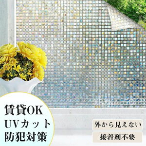 tB \邾 XehOX UCN 3Dp tB  ߂V[g  `FbN 3dF g XehOXV[g XehOXV[ ډB Ռ 悯 