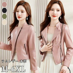 ySi10%OFF&|Cg5{zU[WPbg U[ {v fB[X t V[g C_[XWPbg `FX^[R[g vW U[R[g { AE^[V[gR[g 2024 