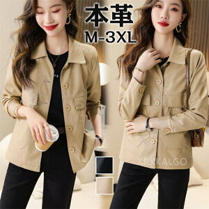 U[WPbg U[ {v fB[X t V[g C_[XWPbg `FX^[R[g vW U[R[g { AE^[V[gR[g 2024  Mtg ꂢ M 