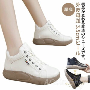 O Xj[J[ ꂸ  Xj[J[ RtH[gV[Y C nCJbgXj[J[   V[Y ꂷۂ Xj[J[ fB[X  JW