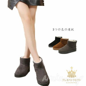 [gu[c fB[X V[g 킢 h  ۉ  {A 킢  lC NX}X v[g