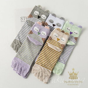 ܖ{w\bNX 5{wC ܖ{wC 5{w\bNX fB[X 킢  N[ EȂ  X|[c L  R hL Mtg v[g