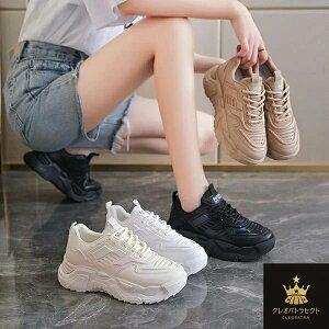 Xj[J[ fB[X V[Y Xj[J[ EH[LOV[Y X|[c V[Y 5cm ₷ Ȃ Cq[   킢 lC C  nCJbgXj[J[ u