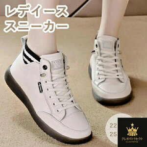 Xj[J[ fC[XXj[J[ nCJbgXj[J[ TChSA Xj[J[ CR C  EH[LOV[Y JWAV[Y [XAbv V[YVv ₷ 