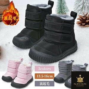 LbY qC Xm[u[c xr[ V[Y@j̎q ̎q N h H~ h [gu[c c g  xr[ C u[c V qǂ V[Y   g