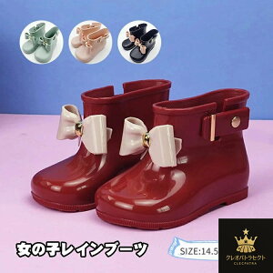 Cu[c LbY ̎q CV[Y 킢 {t xr[ C u[c JC qp J qC w  ʊw Lv w ct ۈ珊 wN h JC  C