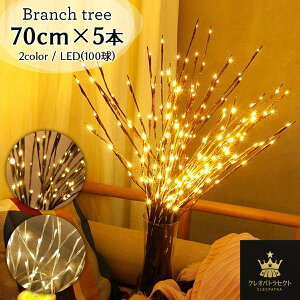 y5{100Zbgzu`c[ LED  70cm c[Cg  NX}Xc[ uE zCg NX}X u` c[ CeA }  Cg CeACg d 