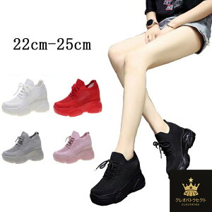  Xj[J[ fB[X  EFbW\[ fB[X X|[c V[Y   8cm Cq[ Ȃ T_  bV C  ₷ ʊw Ȃ ̓ 