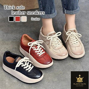 Xj[J[ fB[X \[U[Xj[J[ L V[Y 24.5 ᓹ v uh  sN U[ H nCJbg LoX y O[ Xb| t LeBO  Ȃ 